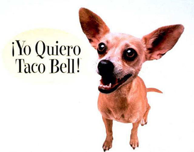 Useless Taco Bell Facts That Might Interest You