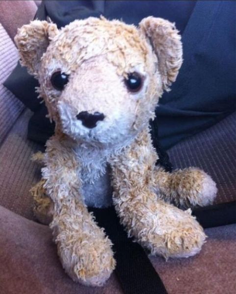 A Lost Stuffed Animal Is Found Thanks to the Internet