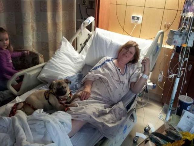 The Blind Pug Who Helps Abused People to Heal
