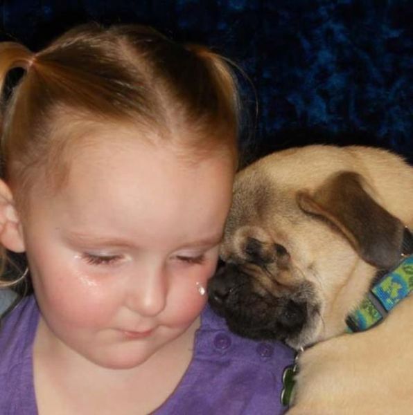 The Blind Pug Who Helps Abused People to Heal
