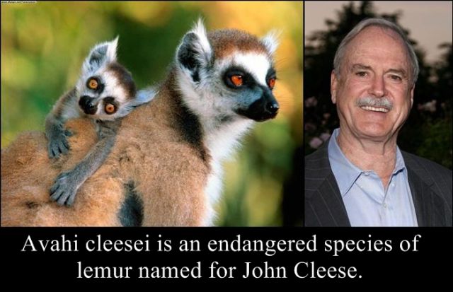 Animals, Insects and Plants Named after Celebs