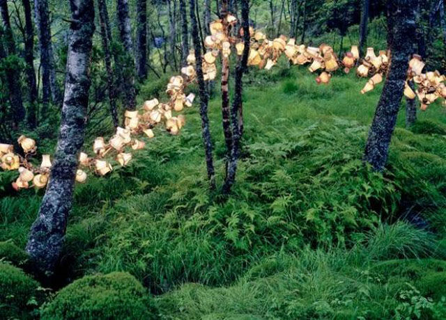 Installation Art That Is Actually Pretty Awesome