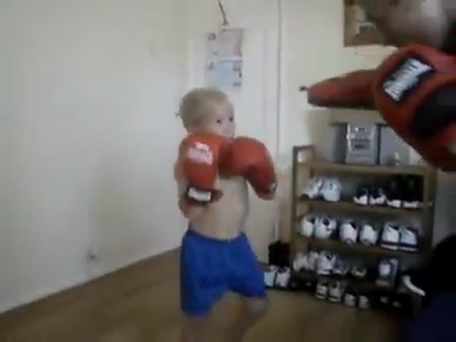 This 5-Year-Old Boy Is a Future Boxing Star  (VIDEO)