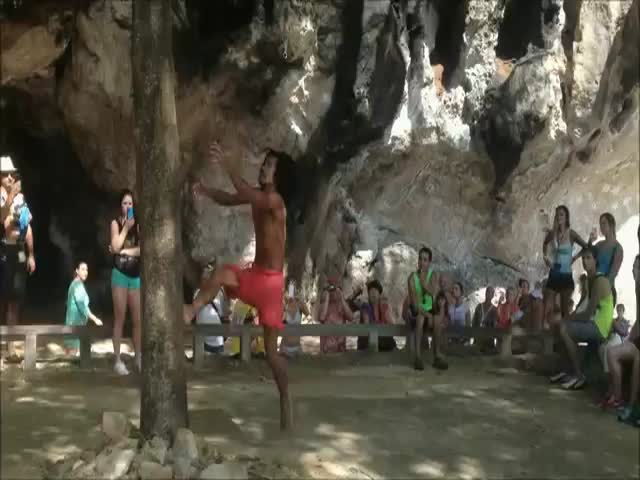 Even Monkeys Are Jealous of This Man's Tree Climbing Skills  (VIDEO)