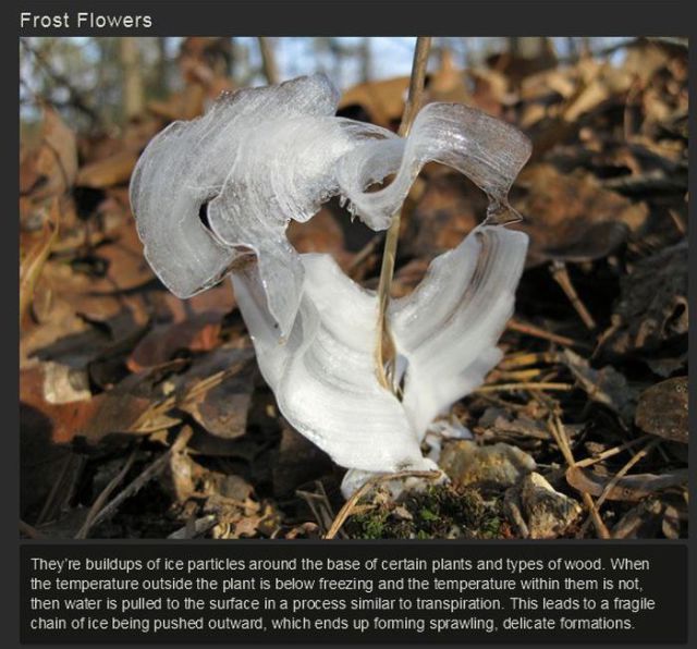 The Most Spectacular Natural Phenomena Ever