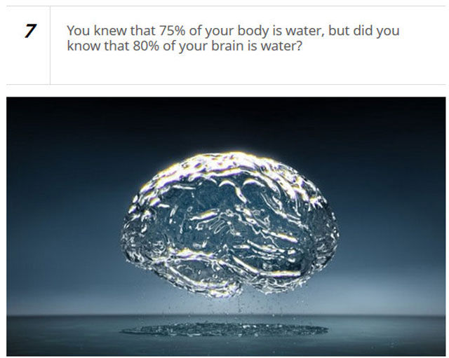 Get to Know the Human Body Better