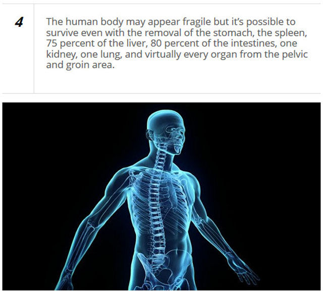 Get to Know the Human Body Better