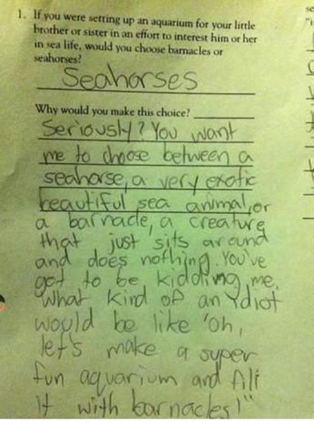 Hilarious Responses to Test Questions