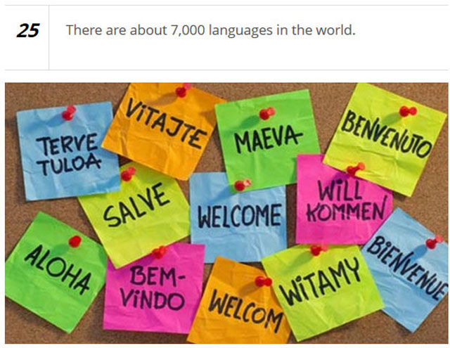 Human Languages are More Phenomenal Than You Realize