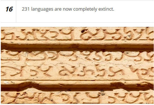 Human Languages are More Phenomenal Than You Realize