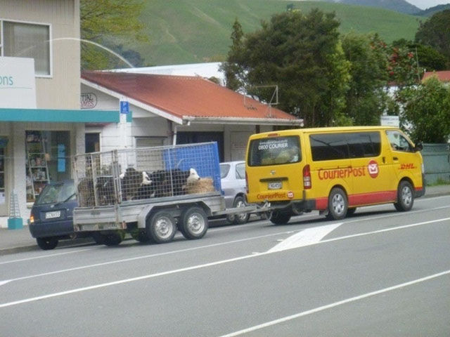 This Is Considered Normal in New Zealand
