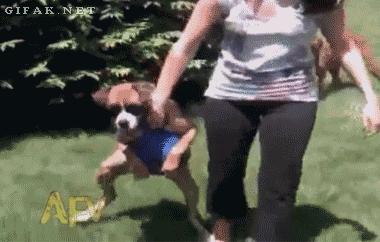 The Best GIFs of “America’s Funniest Videos”