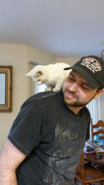 The Sweet Story of the Guy Who Rescued a Kitten