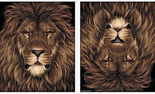 Magnificent WTF Illusions That Will Make You Look Twice