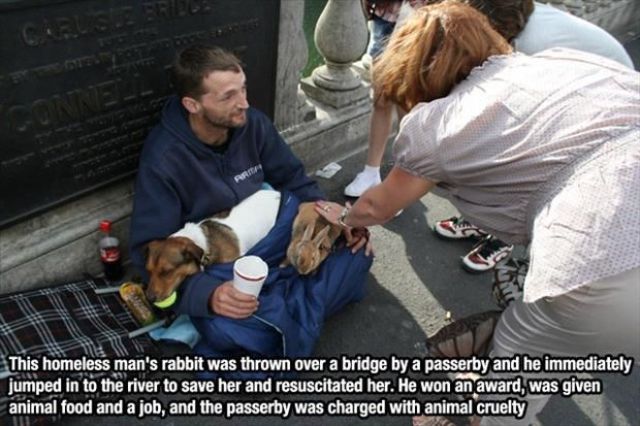 The True Character of People Is Revealed in the Way They Treat Animals