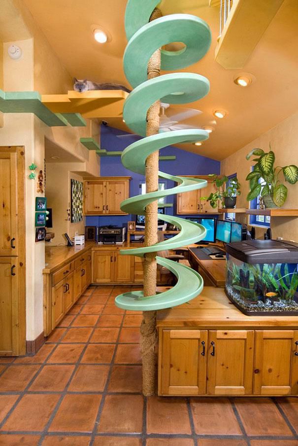This Is Every Cat’s Dream Home Thanks to Crazy Cat Loving Owner
