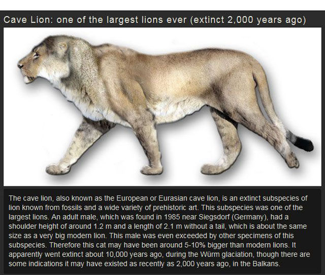 Some of the Most Interesting Extinct Animals Ever