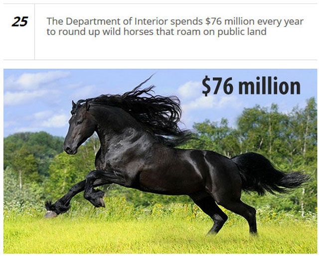 Odd Things That the American Government Are Actually Spending Money On