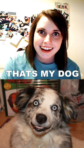 Overly attached Dog