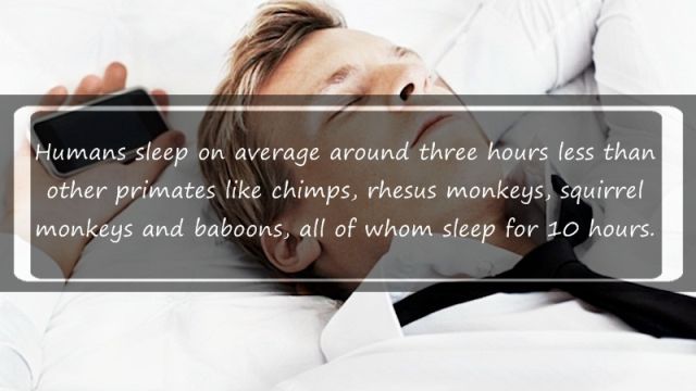 Random Stuff You Might Find Interesting about Sleeping