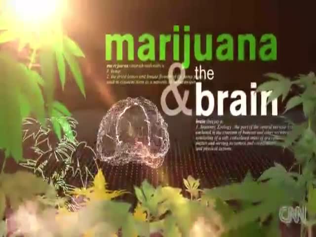 This Is Your Body on Weed  (VIDEO)