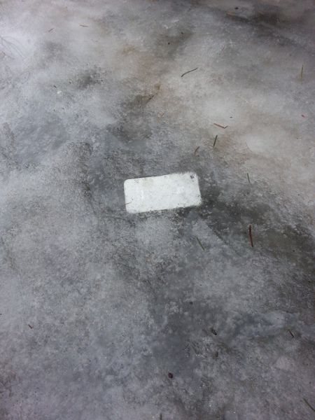 Frozen iPhone Makes a Full Recovery