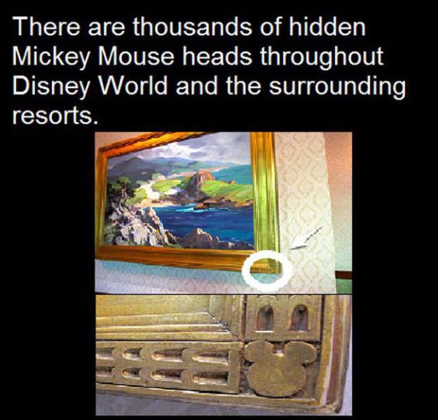 Things You Probably Would Never Guess about Disney Parks
