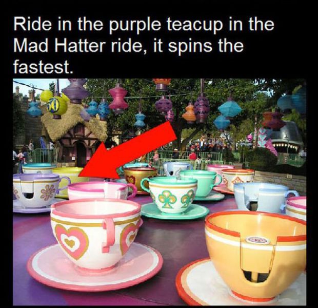 Things You Probably Would Never Guess about Disney Parks