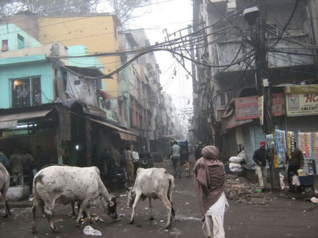 The Harsh Reality of Indian Slums