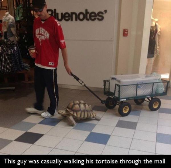 The Oddest Sights Ever Spotted in Malls