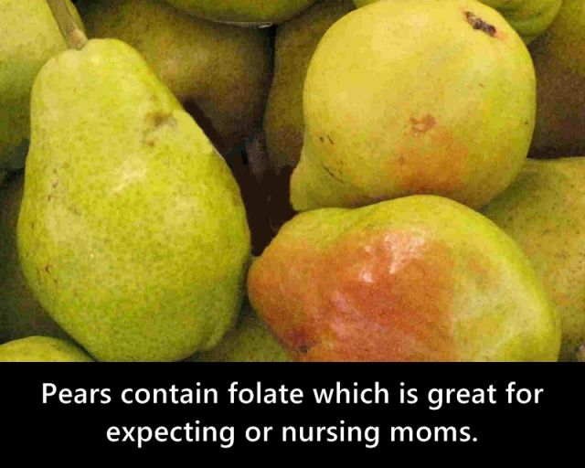Fruit Is Nature’s Greatest Gift