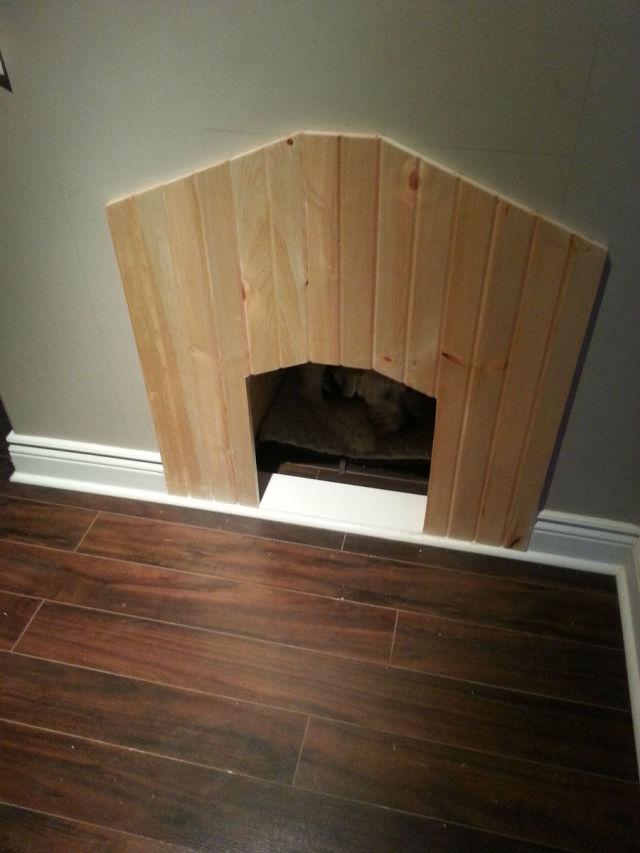 A Dog House That Is Beyond Cool