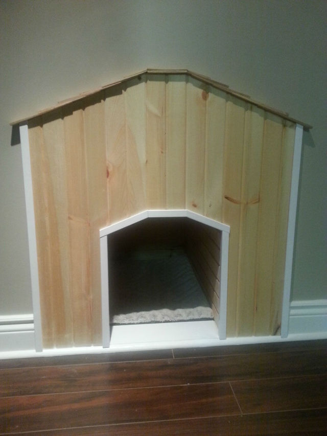 A Dog House That Is Beyond Cool