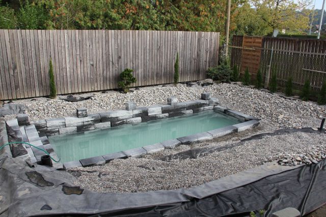 A Back Yard Pool Idea That’s Pure Brilliance