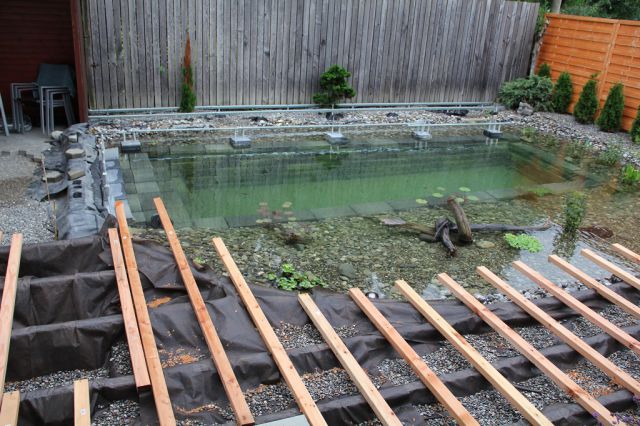 A Back Yard Pool Idea That’s Pure Brilliance