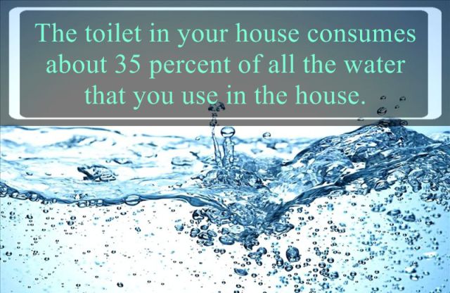 Interesting Facts about Water (25 pics) - Izismile.com