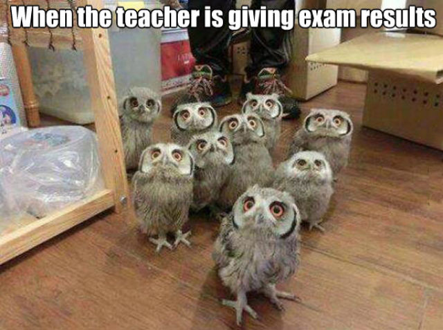 Funny Picdump