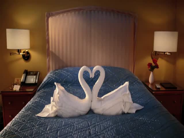 Cool Stop Motion of Towel Swans with Unexpected Ending  (VIDEO)
