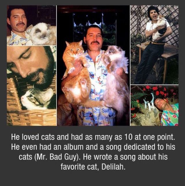 A Few Facts about Freddie Mercury