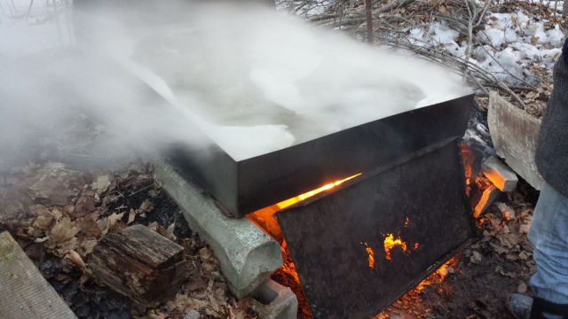 A Step-by-step Illustration of How Maple Syrup Is Made