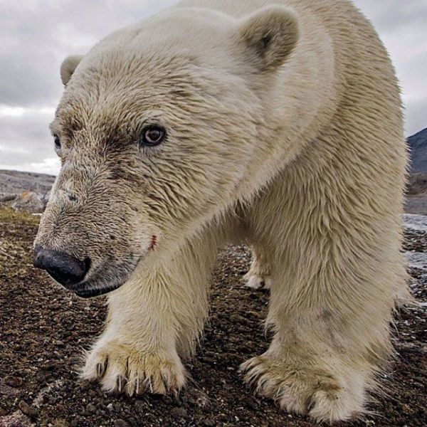 Astounding National Geographic Photos on Instagram