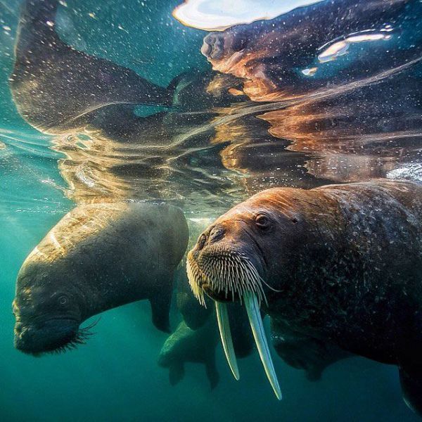 Astounding National Geographic Photos on Instagram