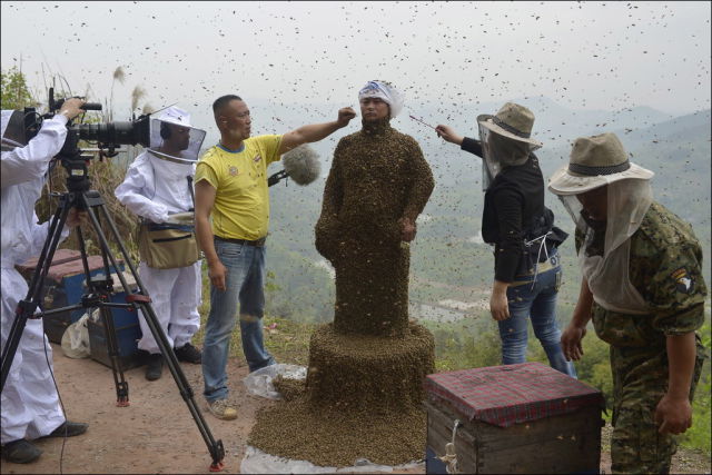 The Brave Record-Setting Chinese Beekeeper