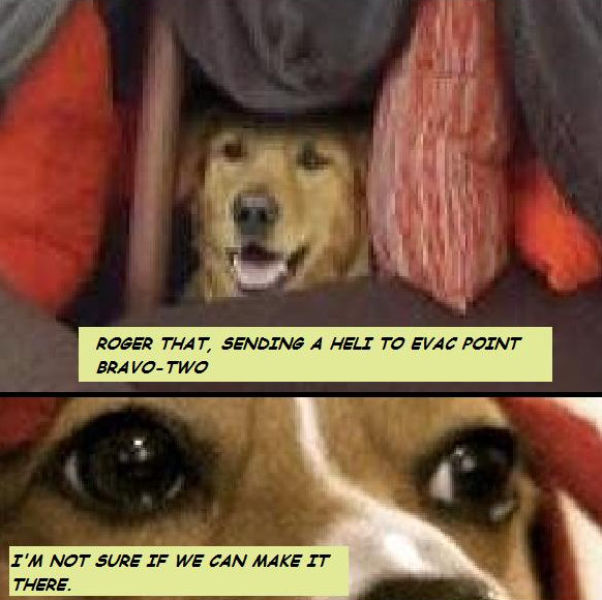 A Dog Story with a Twist