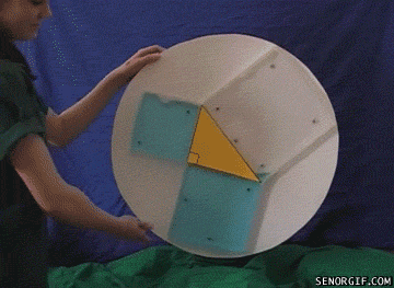 GIFs That Will Teach You Something about the World