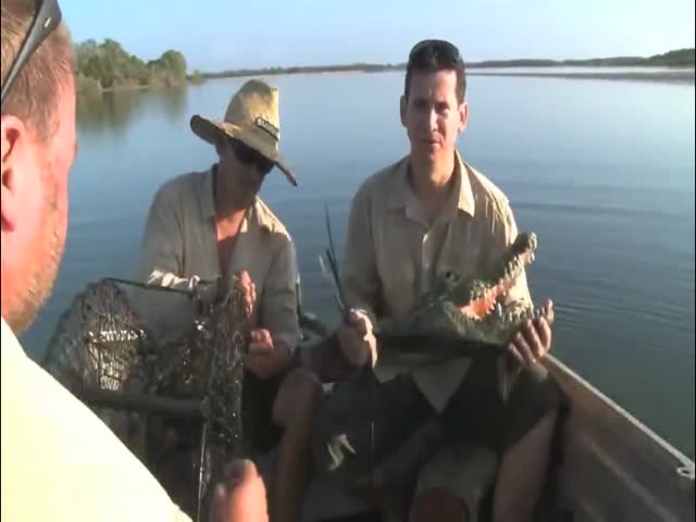 Alligator Head Prank That’s Just Genius  (VIDEO)