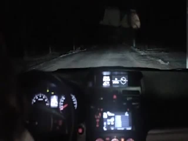 Dog Hijacks a Subaru  (VIDEO)
