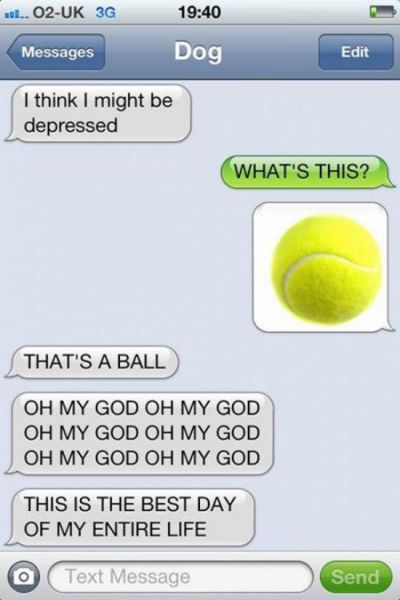 If Dogs Could Text, You’d Have Conversations Like This