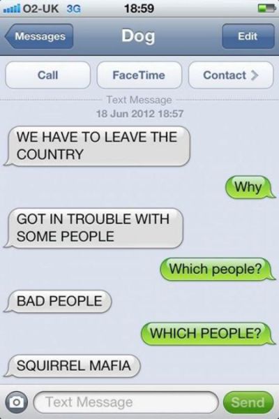 If Dogs Could Text You d Have Conversations Like This 11 Pics 