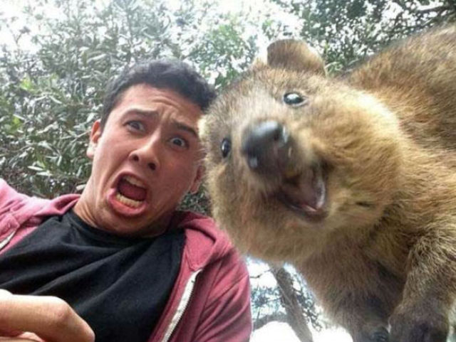 Selfies That Were Timed Brilliantly